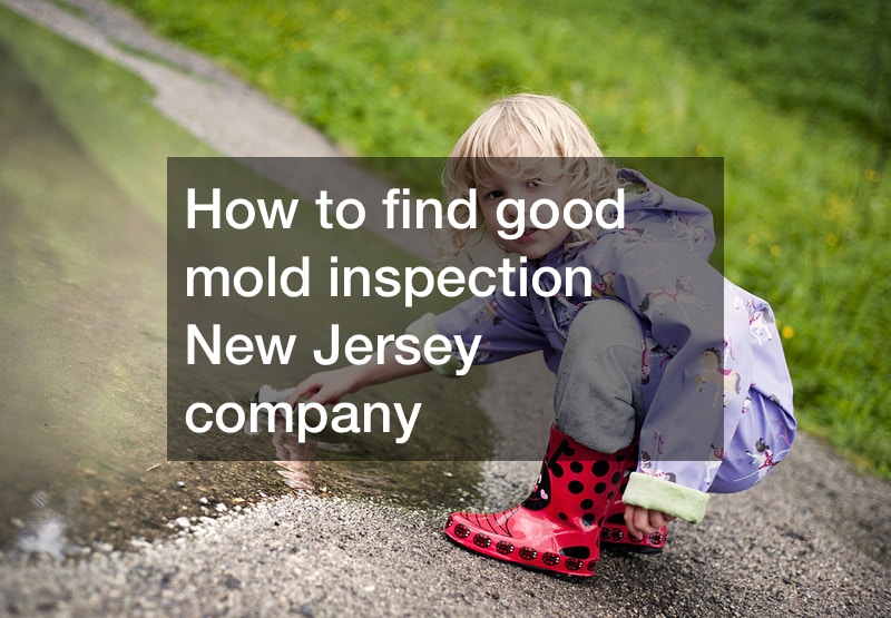 home mold inspection